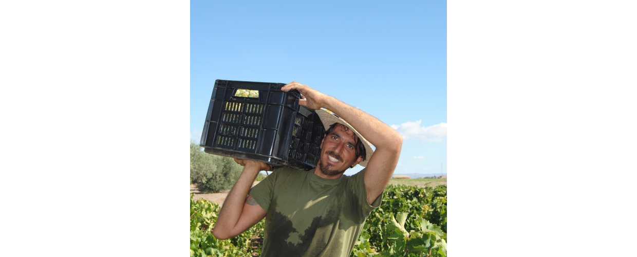 Dai ritmi frenetici della città alla scoperta del mondo del vino: il vino artigianale de Il Mortellito